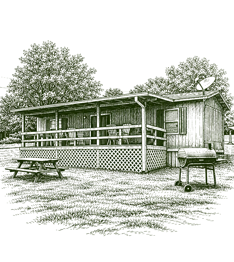 Cabin 10 Illustration