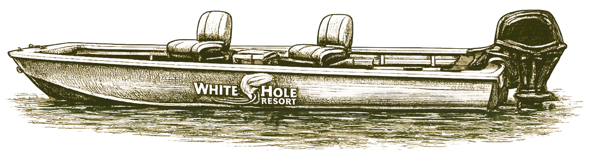 illustration of a White Hole Resort rental Boat