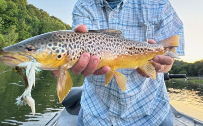 Late May Fishing Report – White River Transition of Bug Life & Water Windows